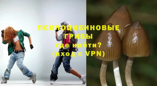 соль ск Бородино