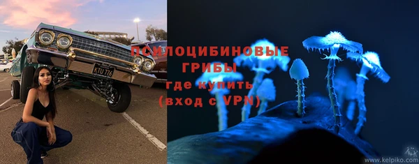 крисы Волоколамск