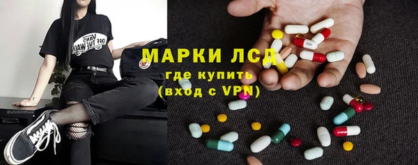 прущие грибы Богданович